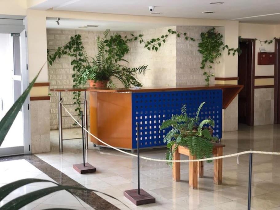 Playa Del Norte Vivienda Vacacional Gáldar 外观 照片