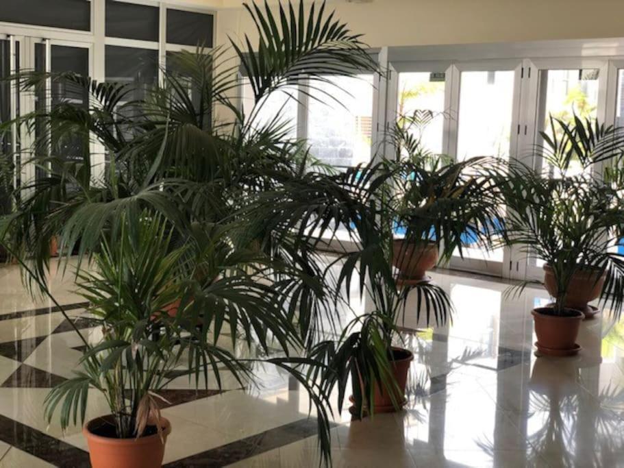 Playa Del Norte Vivienda Vacacional Gáldar 外观 照片